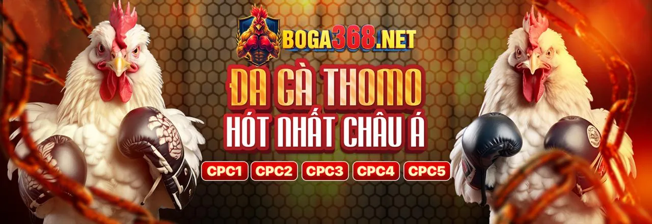Dịch vụ khách hàng và hỗ trợ 24/7 của 33win